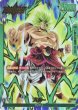画像1: ブロリー(FS03-01/L☆) (1)