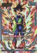 画像1: バーダック(FS05-01/L☆) (1)