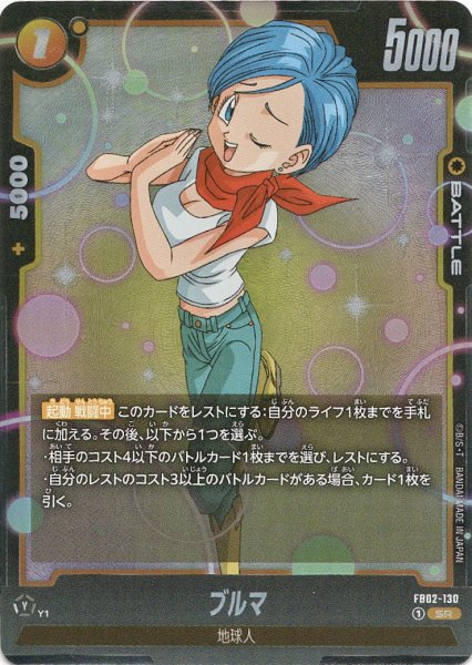 画像1: ブルマ(FB02-130/SR) (1)