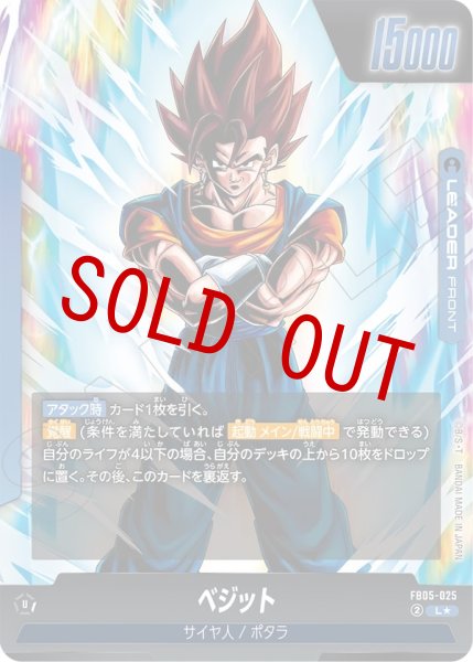 画像2: ベジット(FB05-025/L☆) (2)