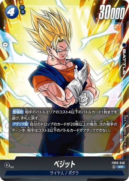 画像1: ベジット(FB05-040/SR) (1)