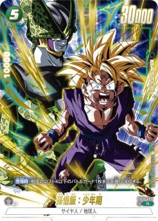 雑誌付録 - カードショップカメハウス【DBFW通販】