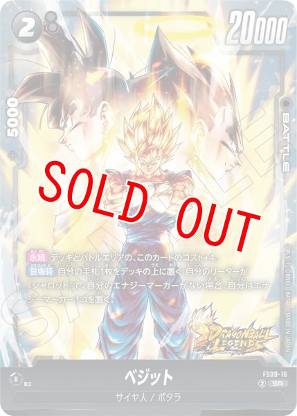 画像1: ベジット(FS09-16/SR) (1)