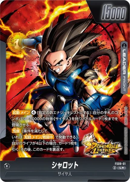 画像2: シャロット(FS09-01/L☆) (2)