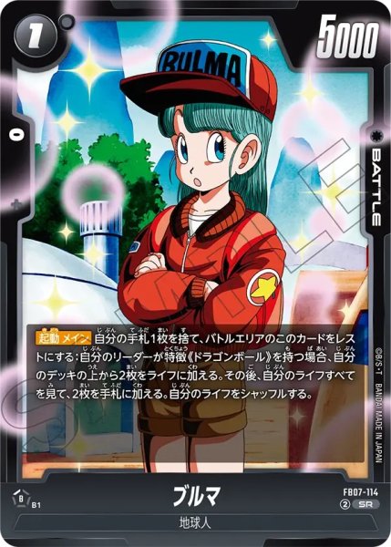画像1: ブルマ(FB07-114/SR) (1)