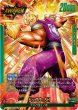 画像1: ピッコロ：SH(FB07-049/L☆) (1)