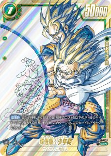 カメハウス】ドラゴンボールカードフュージョンワールド専門店