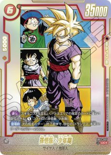 プロモーションカード (Page 1)