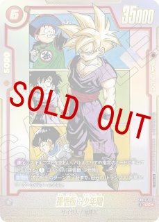 アルティメットバトル - カードショップカメハウス