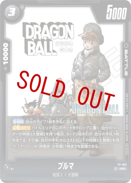 画像1: ブルマ(FP-061/PR) (1)