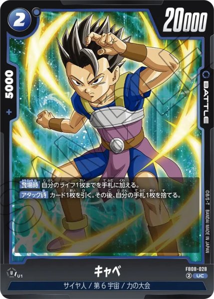 画像1: キャベ(FB08-028/UC) (1)