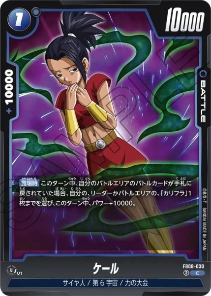 画像1: ケール(FB08-030/C) (1)