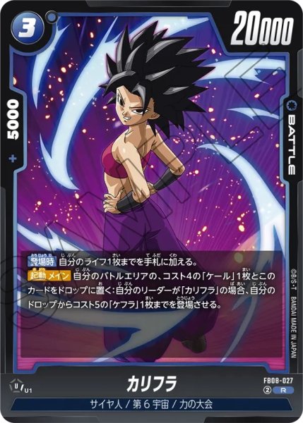 画像1: カリフラ(FB08-027/R) (1)