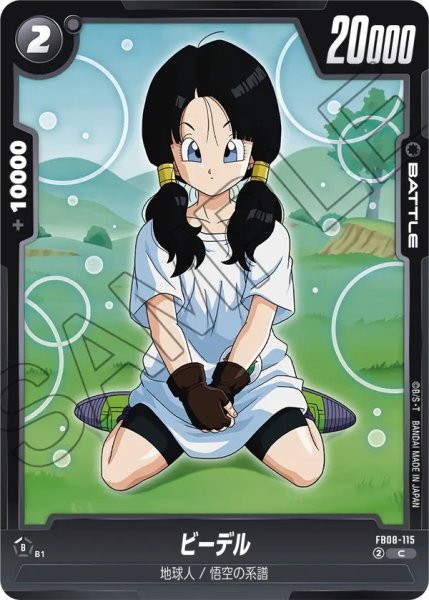 画像1: ビーデル(FB08-115/C) (1)