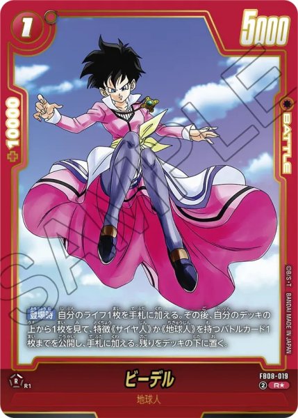 画像1: ビーデル(FB08-019/R☆/ビジュアルパラレル) (1)