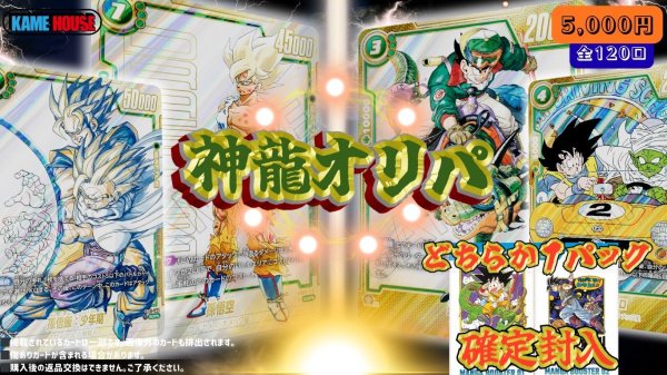 画像1: 神龍オリパ(5,000円/120口) (1)