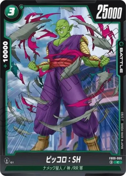 画像1: ピッコロ：SH（FB09 FB09-066 C） (1)