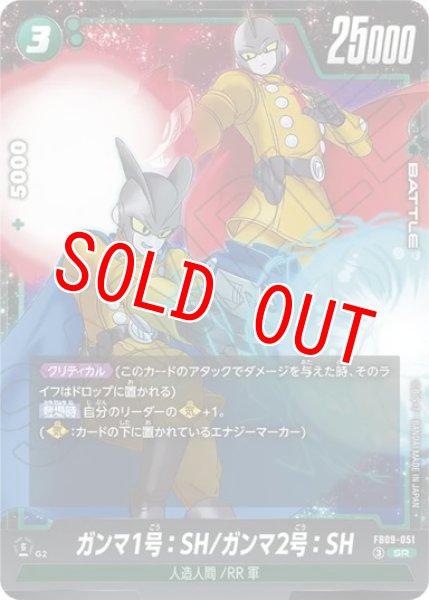 画像1: ガンマ1号：SH/ガンマ2号：SH（FB09 FB09-051 SR） (1)