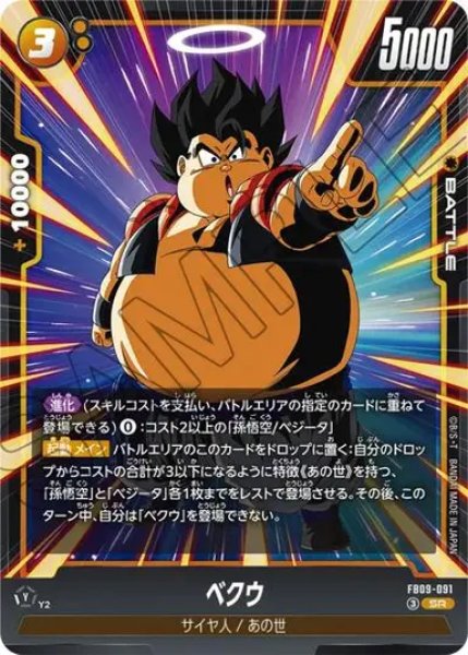 画像1: ベクウ（FB09 FB09-091 SR） (1)