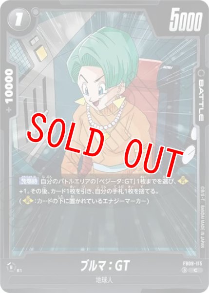 画像1: ブルマ：GT（FB09 FB09-115 C） (1)