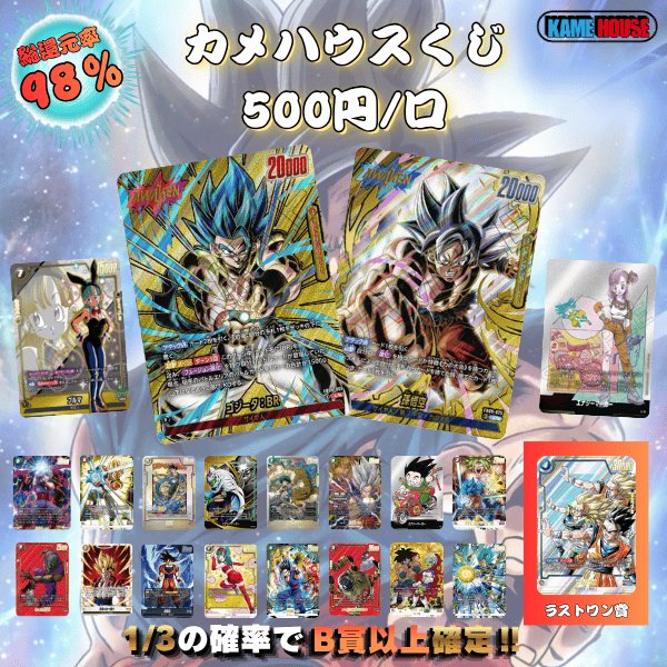 画像1: 【カメハウス】500円くじ (1)