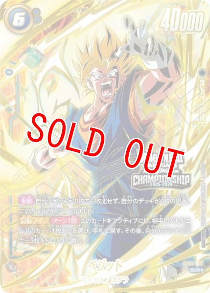 画像1: ベジット（PROMO FB04-130 SCR★） (1)