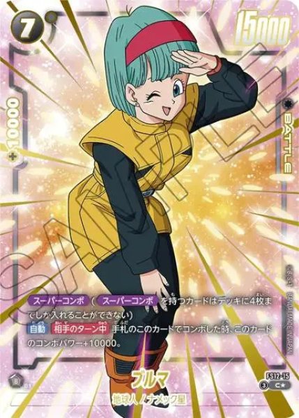 画像1: ブルマ（FS12 FS12-15 C★） (1)