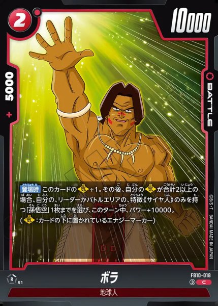 画像1: ボラ（FB10-018 C） (1)