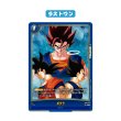 画像5: カメハウスくじ【5900円】  (5)