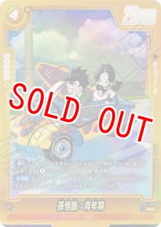 孫悟空(FB02-119/SR☆/1stアニバーサリーセット) - カードショップ
