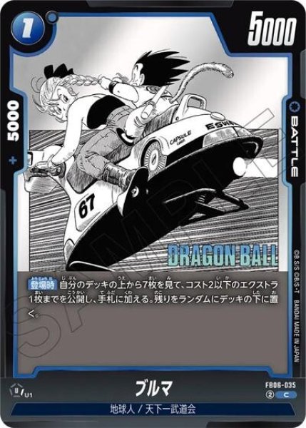 ブルマ（FB06-035 C）