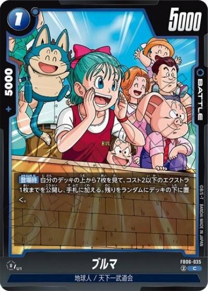 ブルマ（FB06-035 C）