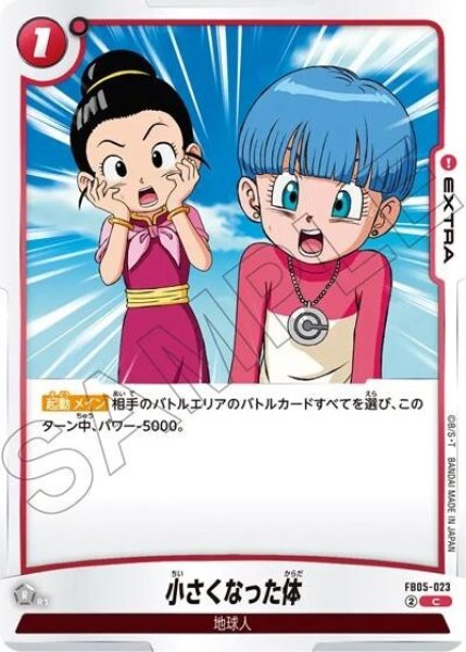 小さくなった体（FB05-023 C）