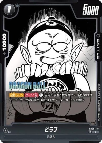 ピラフ（FB06-110 C）